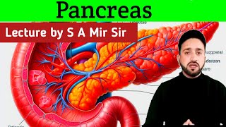 Pancreas Anatomy  Pancreas Kya Hota Hai  Insulin  Glucagon [upl. by Swehttam351]