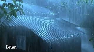 Rapidly Drift into Sleep with Thunderstorm amp Heavy Rain Sounds on a Corrugated Iron Roof [upl. by Anowahs807]