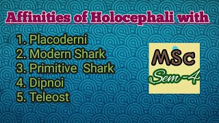 Affinities of Holocephali ZoologyFisheriesAll universities [upl. by Adnawed]