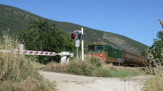 TRENO STORICO SULLA TRANSIBERIANA DITALIA 06062024 [upl. by Atsirtal]