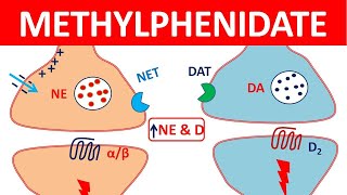 Methylphenidate Ritalin for ADHD  Mechanism precautions side effects amp uses [upl. by Lucienne]