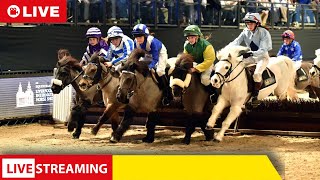 LIVE Royal Windsor Horse Show Shetland Pony Grand National  Gran Nacional de Ponis Shetland [upl. by Orme]