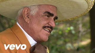 Vicente Fernández  La Mejor de las Mujeres [upl. by Carolyn574]