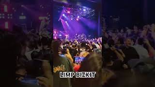 LIMP BIZKIT LIVE TOYOSU PIT  Take A Look Around [upl. by Kosak129]