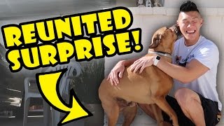 DOG REUNITED SURPRISE AFTER 1 YR APART  Life After College Ep 545 [upl. by Katlin]