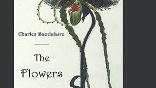 The Flowers of Evil by Charles BAUDELAIRE read by Various  Full Audio Book [upl. by Alyled535]