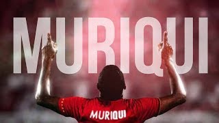 MURIQUI  GOALS AND SKILLS  2017 [upl. by Killigrew]