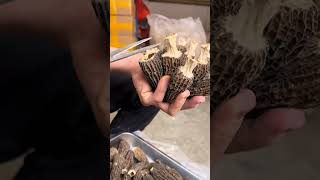 Trim and Release the Full Taste of Dried Morels [upl. by Hannan671]