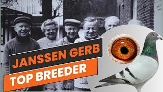 All 4 Grandparents Are Original  Janssen Gebr  Racing Pigeons For Sale In Herbots Pigeons Auction [upl. by Henke]