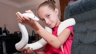 9YearOld Snake Handler Krista Guarino [upl. by Lemhar]