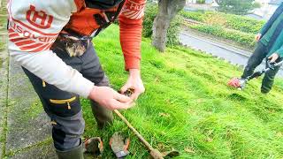 Elderly man couldnt BELIEVE how FAST we Sorted his OVERGROWN Grass [upl. by Allerbag]