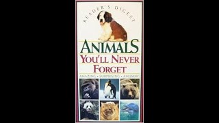 Opening and Closing To AnimalsYoull Never Forget 1994 VHS [upl. by Bowman]