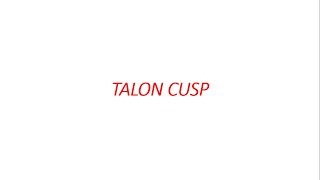 Talon Cusp [upl. by Pyszka]