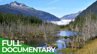 Alaska  The Last Frontier  Free Documentary Nature [upl. by Ydne334]