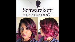 Fibre Force Treatment at Schwarzkopf Academy Dubai [upl. by Xymenes]