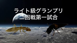 ガロアムシ18mmvsアカバハバビロオオハネカクシ20mm蟲斗ライト級グランプリ3二回戦第一試合 [upl. by Idna]