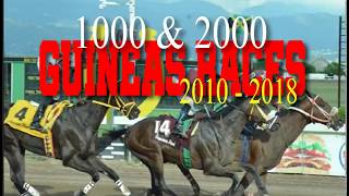 1000 amp 2000 GUINEAS RACES [upl. by Materi]