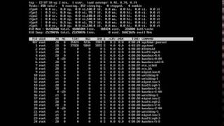 Manual Partitioning of HardDisk in Ubuntu Server 1604 LTS in VirtualBox 52 for Beginners [upl. by Wassyngton]