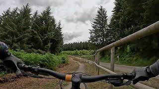 BikePark Wales  Trail video  Kermit [upl. by Harol]