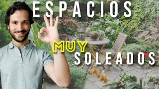 Planifica Tu Terraza o Jardín con MUCHA exposición al Sol 🌞 Plantas de Sol resistentes [upl. by Roee901]