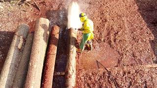 Entrindung von Stämmen mit Hochdruckreingiger  Debarking logs with pressure water [upl. by Ronacin457]