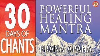 Day 20  Powerful Healing Mantra  PRANA APANA  30 Days of Chants [upl. by Duwad]