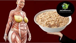 Empecé a comer Avena todos los días mira los beneficios para mi cuerpo [upl. by Nahsyar]