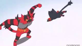 PKSM AMV Litten vs Incineroar [upl. by Fording]