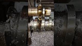 Mustard Oil Worm millinghobbingautomobilemachininggearcuttingcncmachinelatheoperations [upl. by Aevin]