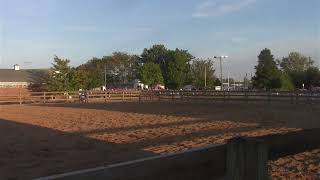 Wayne County Fair Horse Arena Live Stream [upl. by Odetta122]