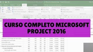 CURSO COMPLETO DO MICROSOFT PROJECT 2016  MARIO TRENTIM wwwgestaoeprodutividadecombr [upl. by Brion]