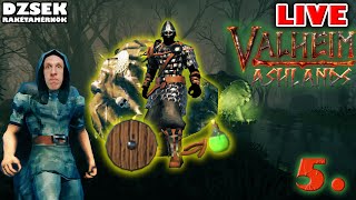 🔴 Valheim  5 Rész  Rákészülünk a Bonemassre [upl. by Junna]