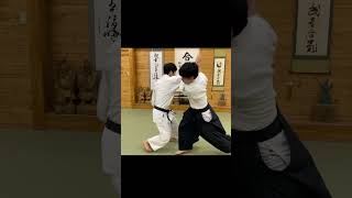 This Aikido master disable dynamic and sharp throws [upl. by Stevens]