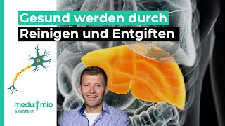 Darm und Leber Gesund werden durch Reinigen und Entgiften 🥗 Florian Sauer [upl. by Aliuqat]