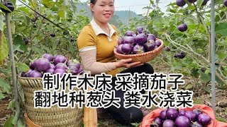 麦红田园：女人加工木材制作木床，采摘茄子上集市，翻地种葱头 [upl. by Seabrook539]