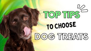 How to Choose Dog Treats  5 Tips from a Canine Nutritionist [upl. by Shirlee]