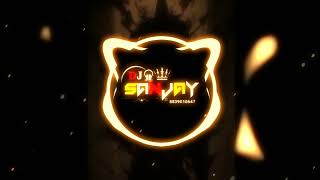 MAYA MAYA LAGE MOLA CG SONG RIMIX  DJ SANJAY OFFICIAL DJ NAGESH RJN  2K24√ [upl. by Solrak349]