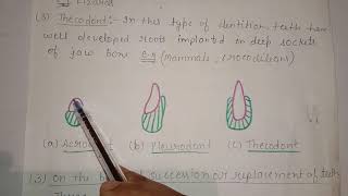 Dentition in Mammals [upl. by Pape492]