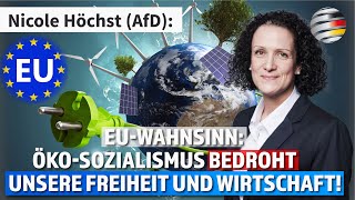 EUWahnsinn ÖkoSozialismus bedroht unsere Freiheit und Wirtschaft  Nicole Höchst AfD [upl. by Sixla796]