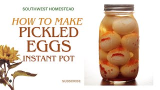 Easy Pickled Eggs [upl. by Eirised]