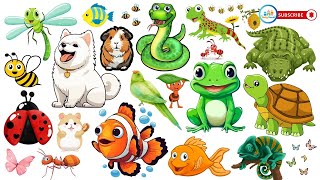 Best Animal for Kids to Learn About  Educational and Fun  SNAKE  TURTLE  CLOWNFISH  CROCODILE [upl. by Anaicul]