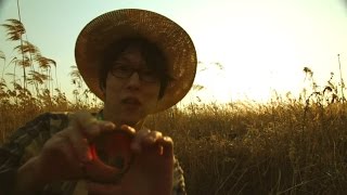 페퍼톤스Peppertones  풍년BIG HARVEST MV [upl. by Easter]