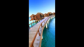 Enjoy the ocean views in our Overwater Bungalows at the beautiful Sandals Royal Caribbean [upl. by Ciel109]