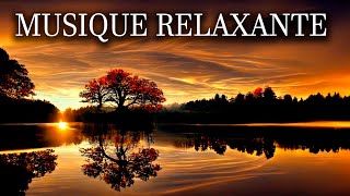 Musique de Méditation sur la Nature  La Paix Intérieure con Musique Nature  Relaxant [upl. by Elreath357]