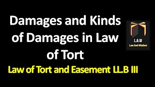 Damages and Kinds of Damages  Law of Torts and Easement [upl. by Shirline561]