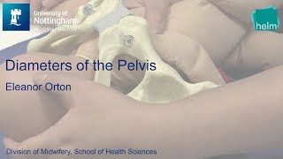 Diameters of the Pelvis [upl. by Aiela]