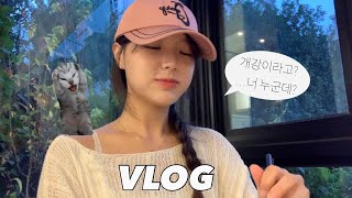 VLOG 대학생 개강 브이로그  첫주부터 열공모드 on한 대학생의 일상🔥 카공 대학생 가방 추천개강룩… [upl. by Erdnaed]