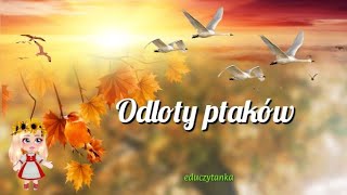 Odloty ptaków na podstawie wiersza ISalach quotOdloty [upl. by Iggam]