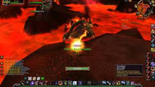 Terrorpene Tame  Rare Spawn Turtle in Mount Hyjal [upl. by Eirallam]