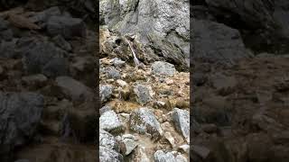 Gordale scar waterfall [upl. by Gaudette171]